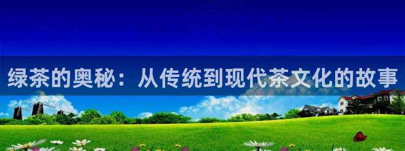 安信证券手机壳12