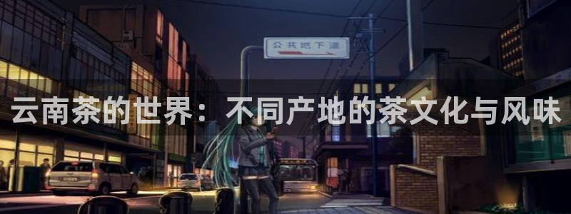 安信安翼 12账号