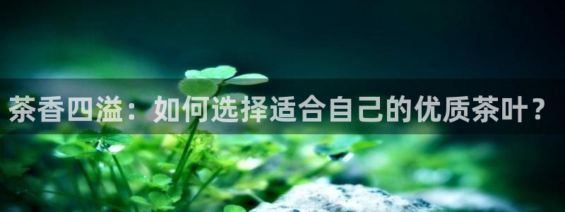 安信12平台注册