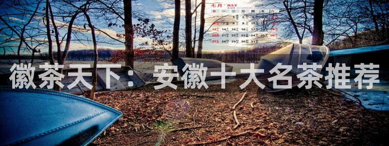 如何注销安信12软件