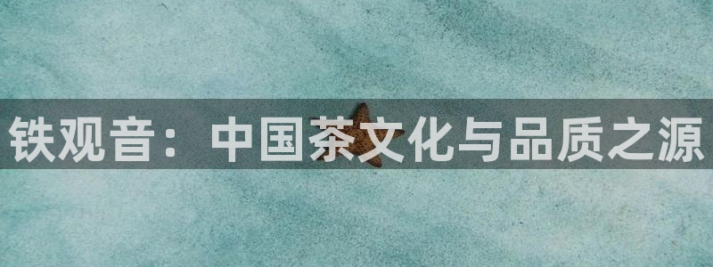 安信12平台官网