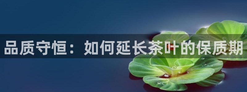 安信12是正轨网站吗