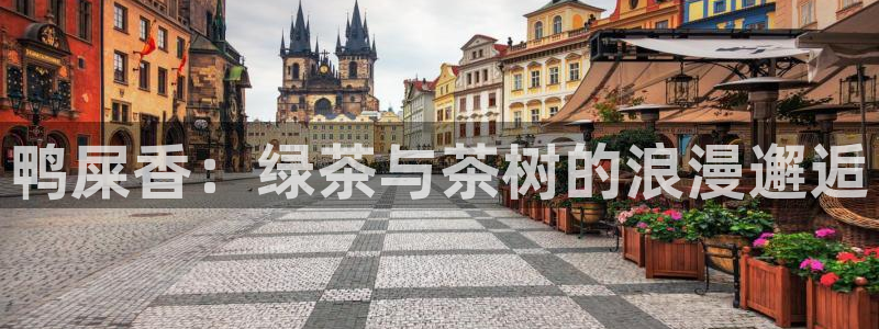 安信12位资金账号