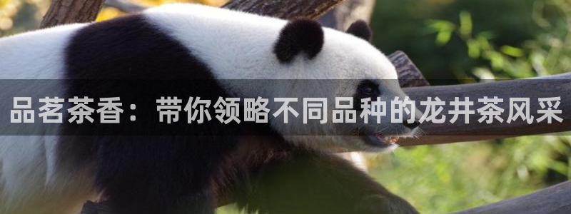 安信4娱乐去55 12