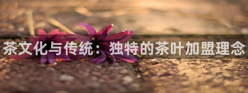 安信12平台官网