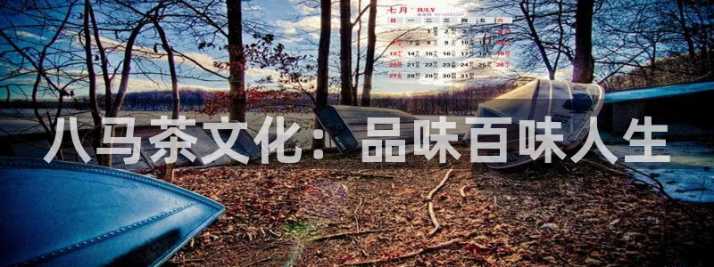 安信12怎么注册