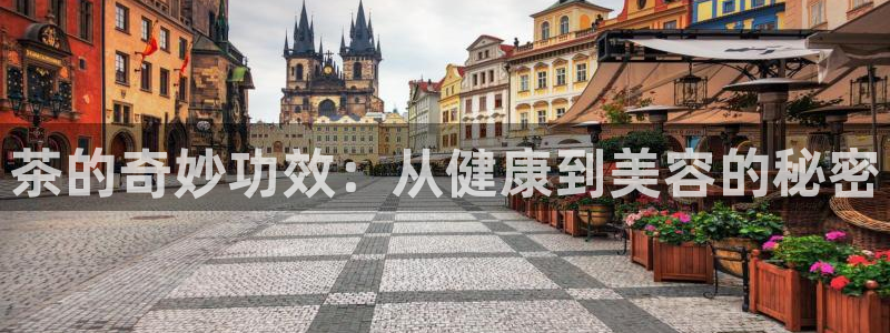 安信12娱乐主管