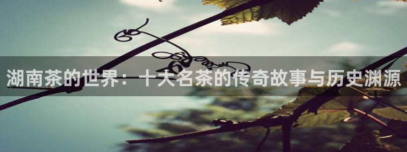 安信12彩票在线网址