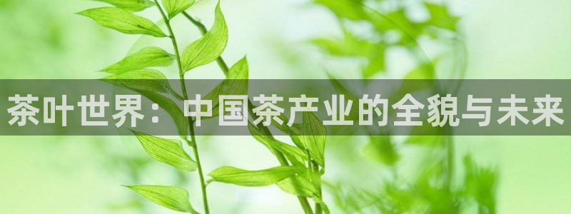 安信12是什么软件