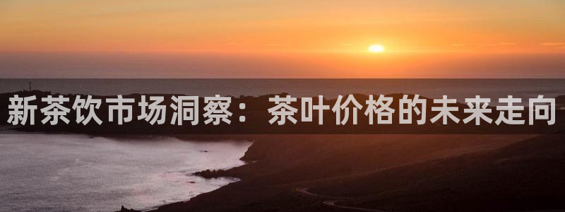 安信主管su金12手12指tq