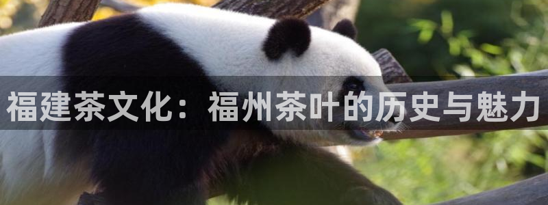 安信12娱乐代理