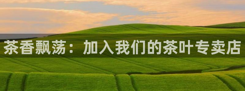 安信12官方网站查询