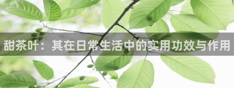 安信可12f代码
