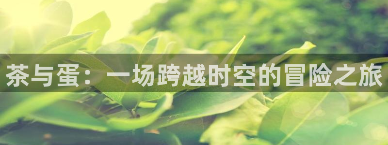 安信安翼 12账号