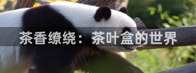 安信12平台官网