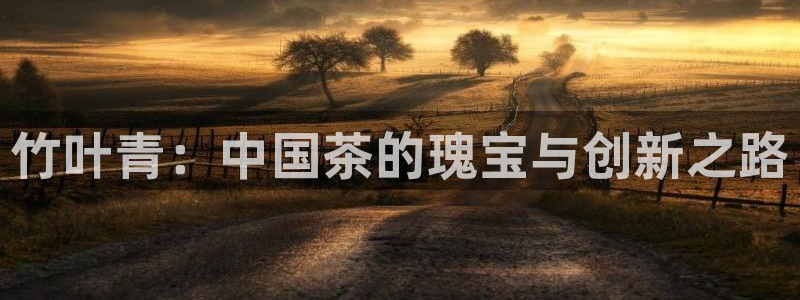 安信主管su金12手12指tq