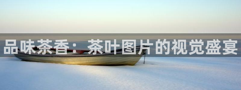 安信12娱乐登录