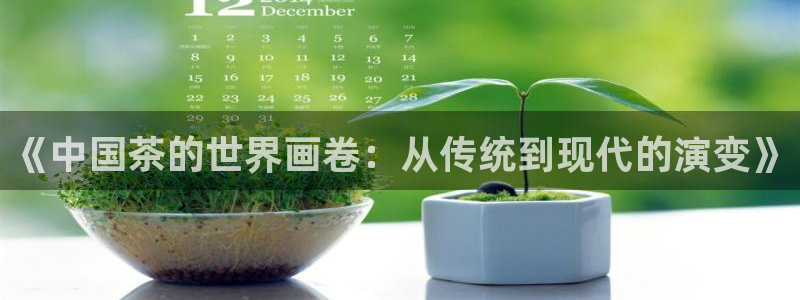 安信卓越12月