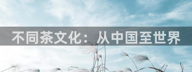 安信安翼 12账号